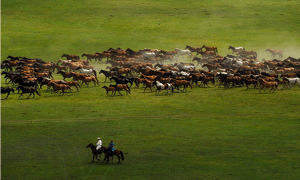 安全用水基礎(chǔ)建設(shè)常識(shí)